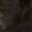 Load image into Gallery viewer, BROWN SPRINGBOK GOAT ROBYN - Poli & Jo
