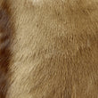 Load image into Gallery viewer, NATURAL TAIL SPRINGBOK GOAT ROBYN - Poli & Jo
