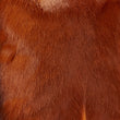 Load image into Gallery viewer, ORANGE TAIL SPRINGBOK GOAT ROBYN - Poli & Jo