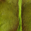 Load image into Gallery viewer, GREEN SPRINGBOK GOAT ROBYN - Poli & Jo