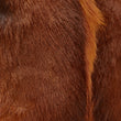 Load image into Gallery viewer, SUN KISSED ORANGE SPRINGBOK GOAT ROBYN - Poli & Jo