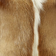 Load image into Gallery viewer, NATURAL SPRINGBOK GOAT ROBYN - Poli & Jo